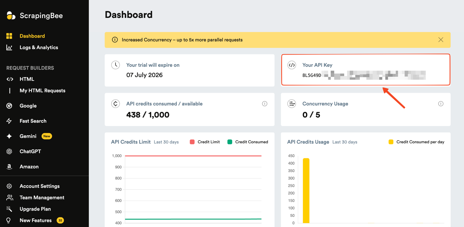 ScrapingBee dashboard with the API key field highlighted