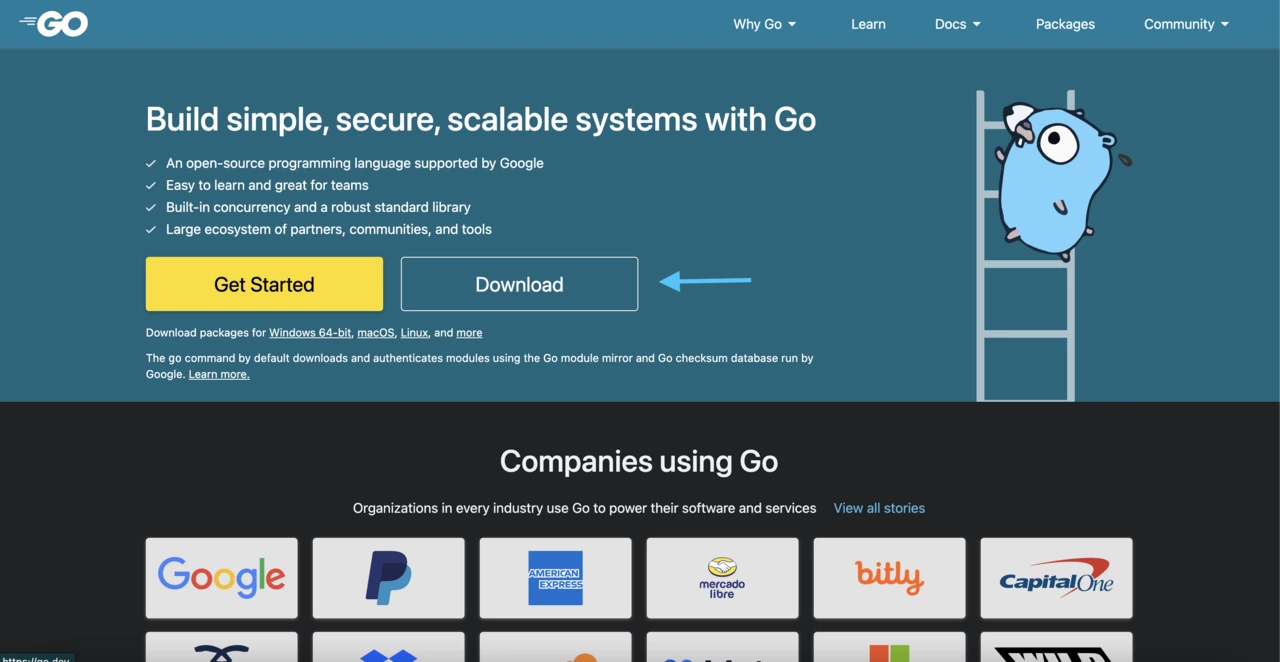 Download button on official Golang documentation