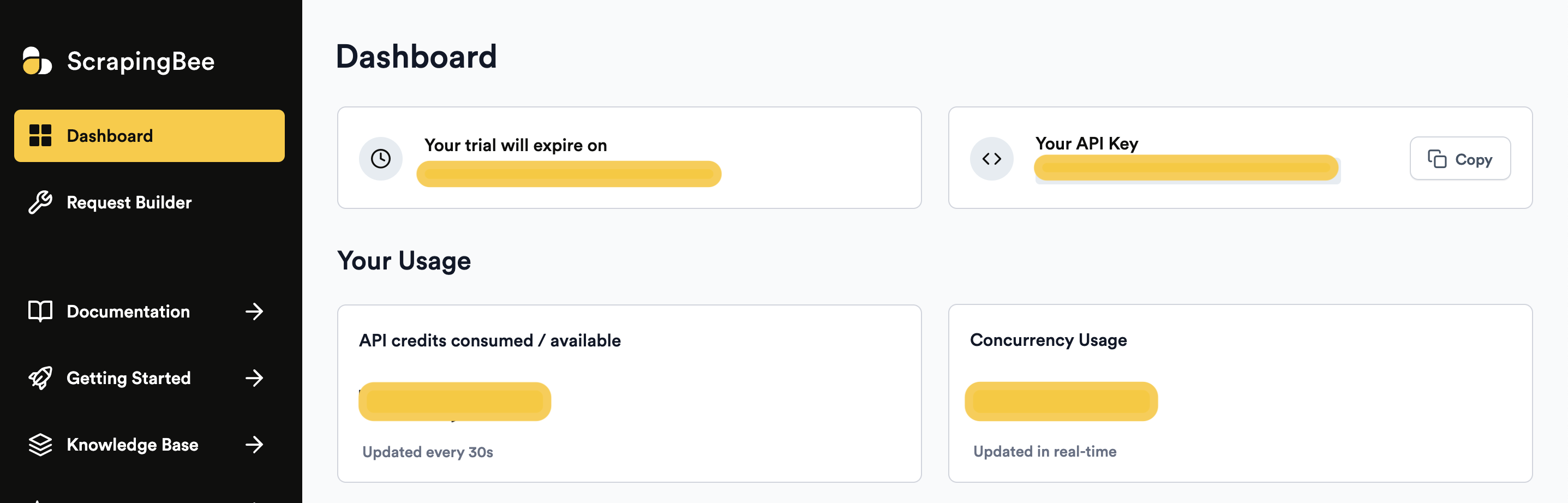 API dashboard