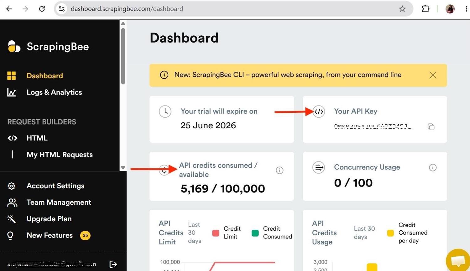 ScrapingBee dashboard showing API key and credits consumed