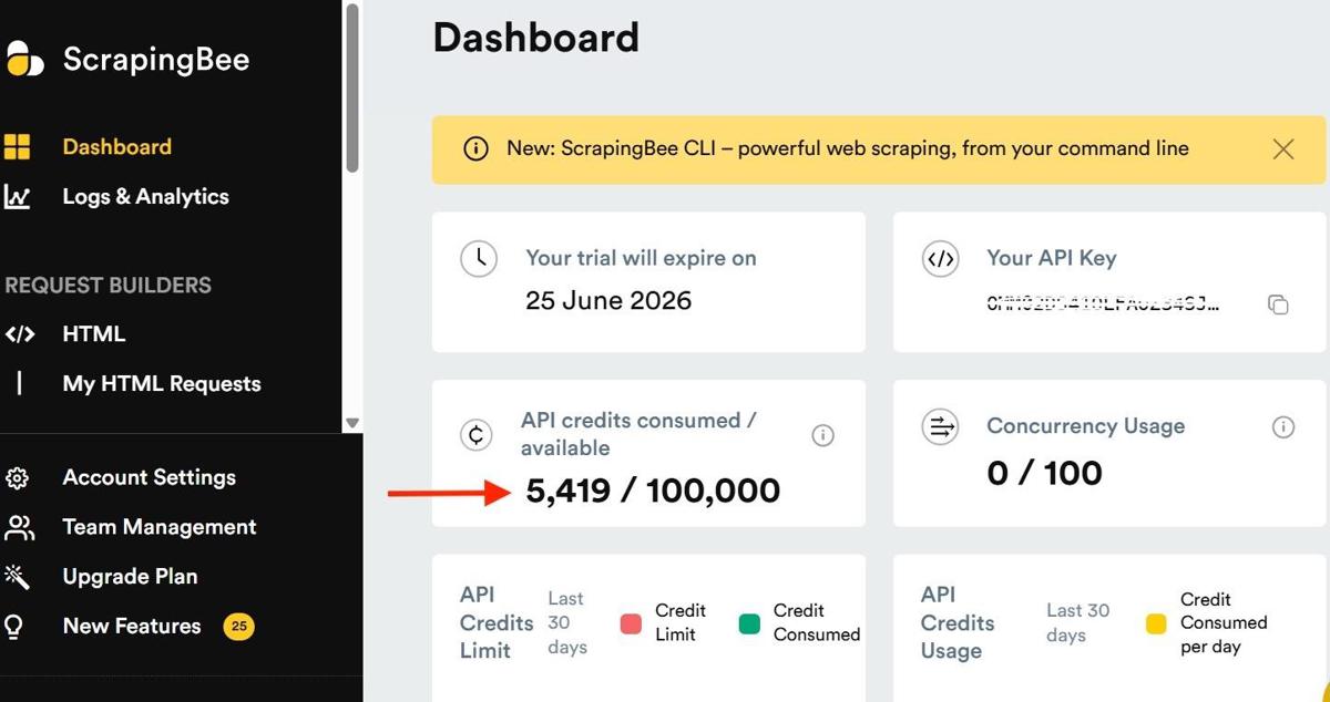 ScrapingBee dashboard showing credits consumed after the scrape