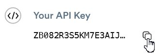 ScrapingBee: Copy API key