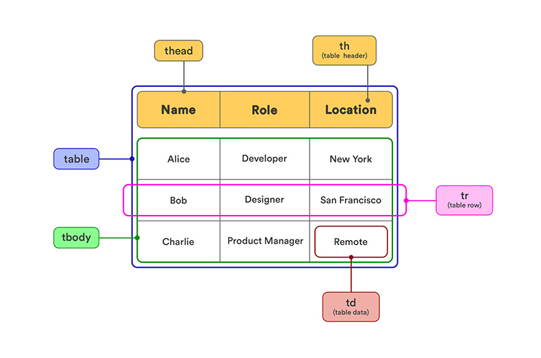 Anatomy of an HTML table: thead, tbody, tr, th, and td elements