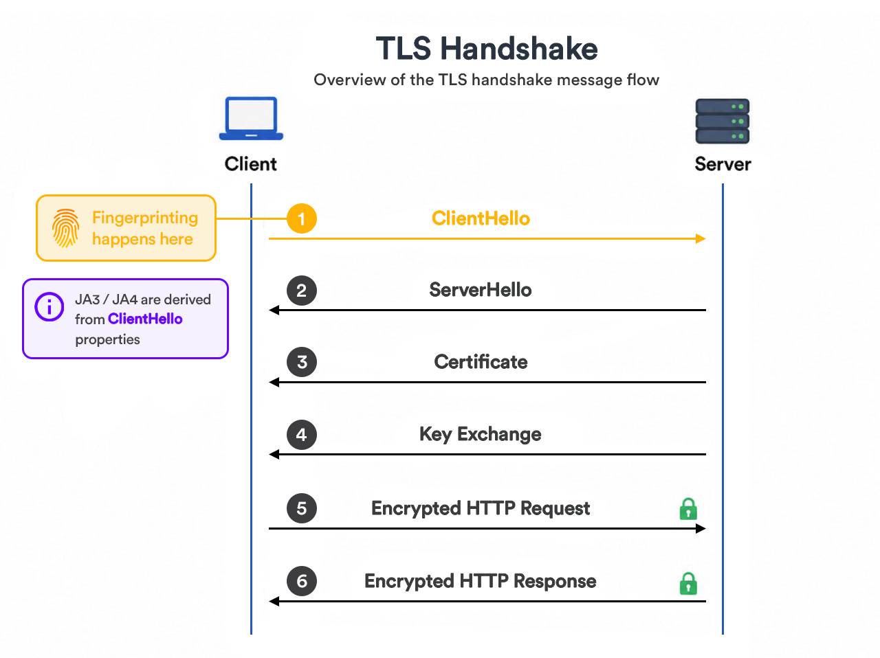 TLS handshake showing the ClientHello message read for fingerprinting