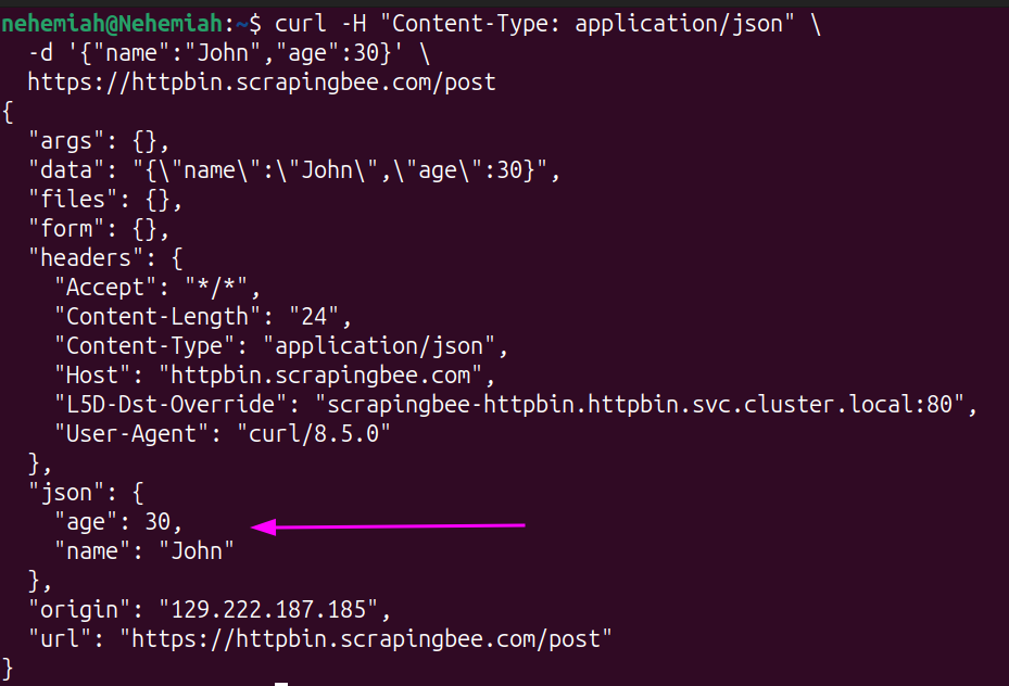 Terminal output showing the HTTPBin response to a cURL POST request that sets Content-Type with -H and the JSON body with -d