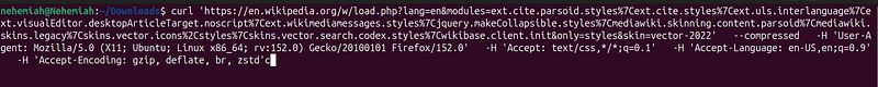 Running the copied cURL command in a terminal