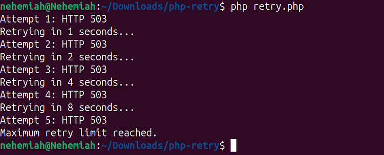 Terminal output showing the PHP retry loop making five attempts against an HTTP 503 endpoint with increasing delays