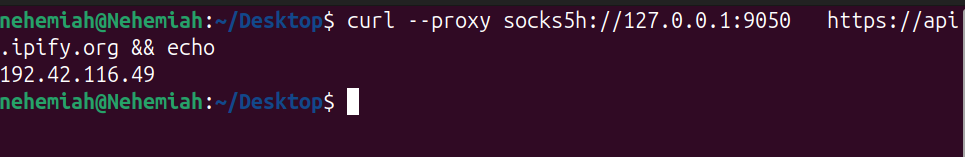 Terminal output showing the public IP address returned through the local Tor SOCKS5 proxy